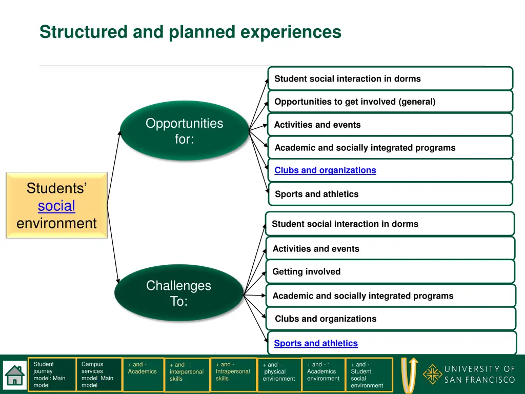 structured and planned experiences