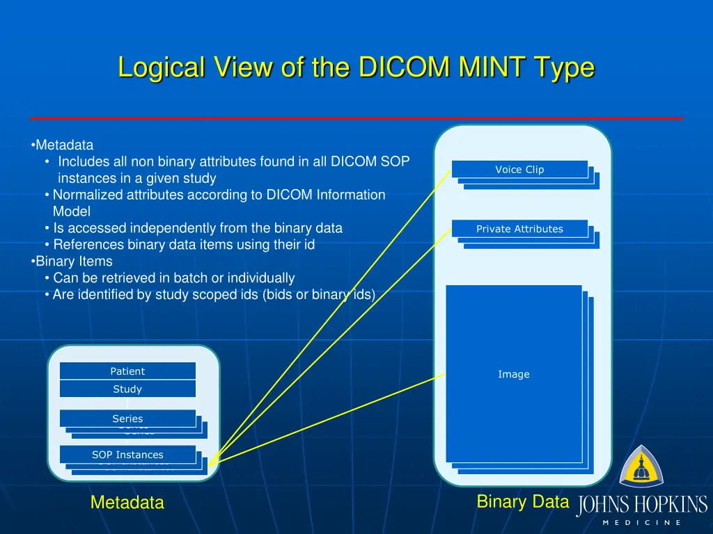 logical view of the dicom mint type