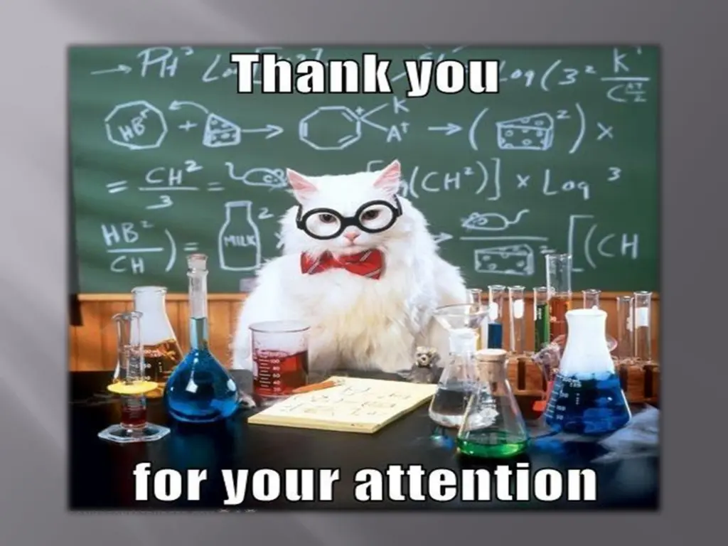 slide5