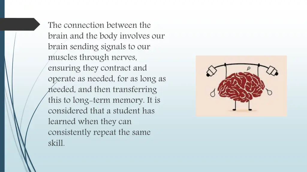 the connection between the brain and the body