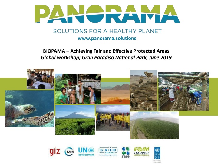 www panorama solutions