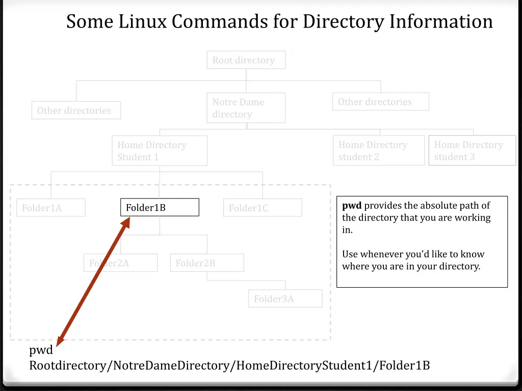 some linux commands for directory information 1