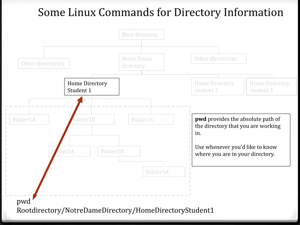 some linux commands for directory information