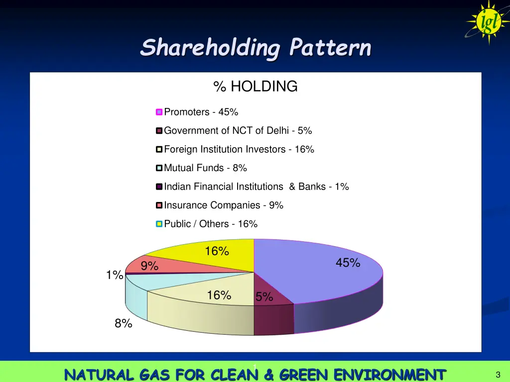 shareholding pattern