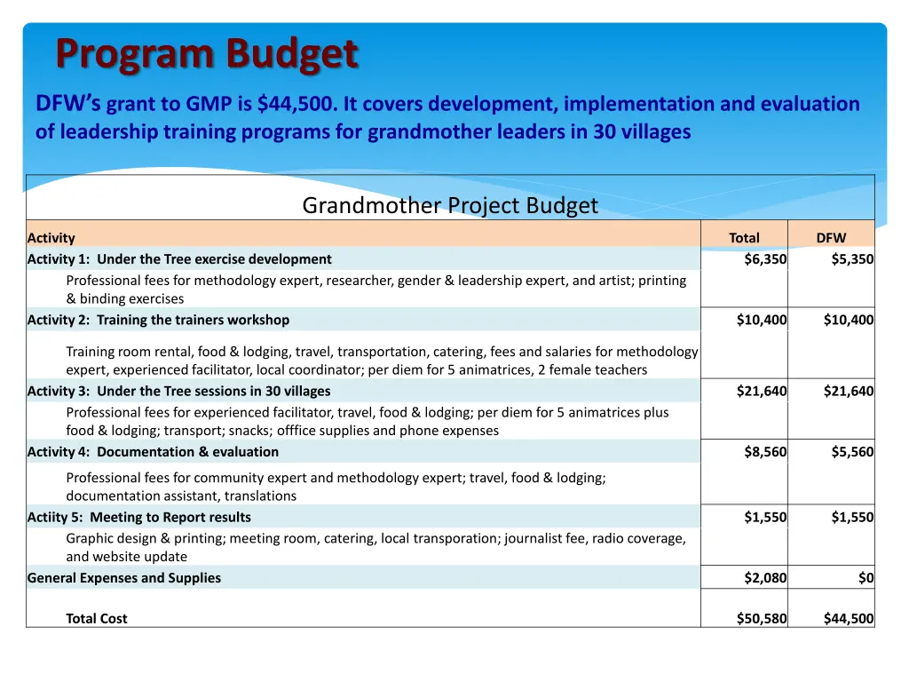 program budget