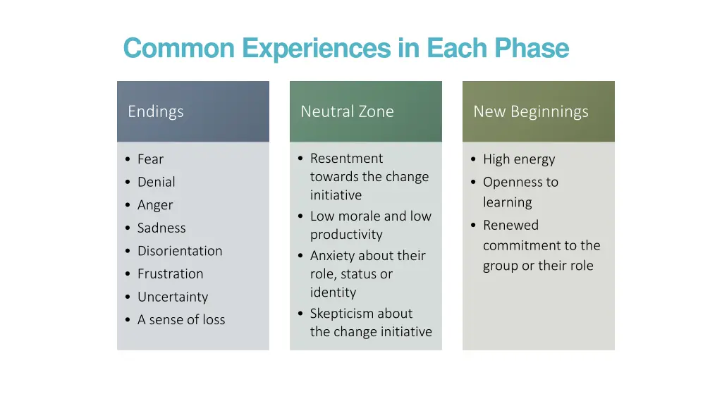common experiences in each phase