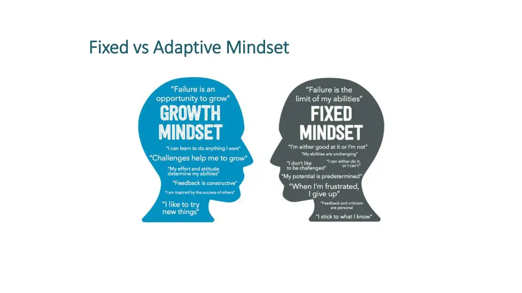 fixed vs adaptive mindset fixed vs adaptive