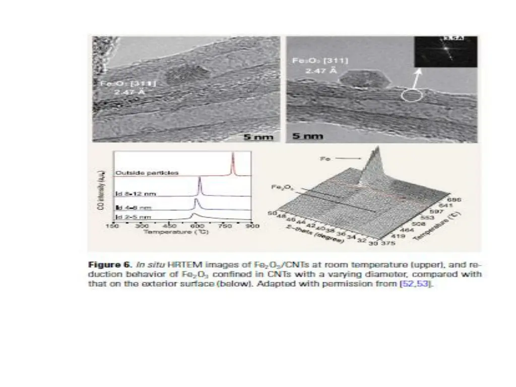 slide19