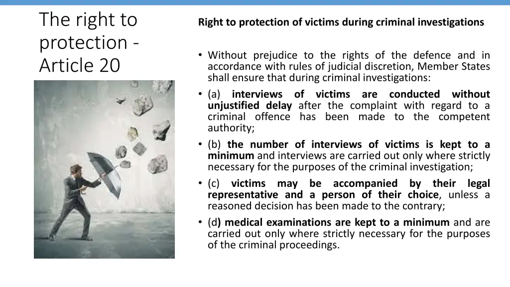 the right to protection article 20
