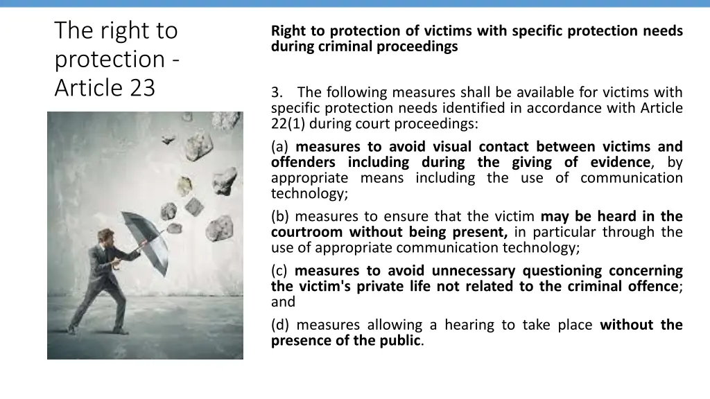 the right to protection article 23 1