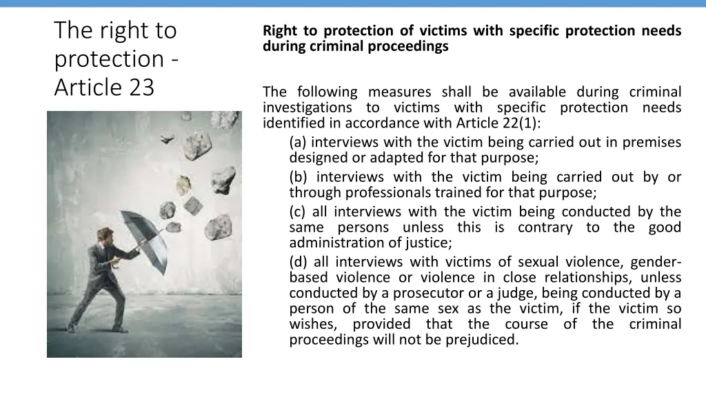 the right to protection article 23