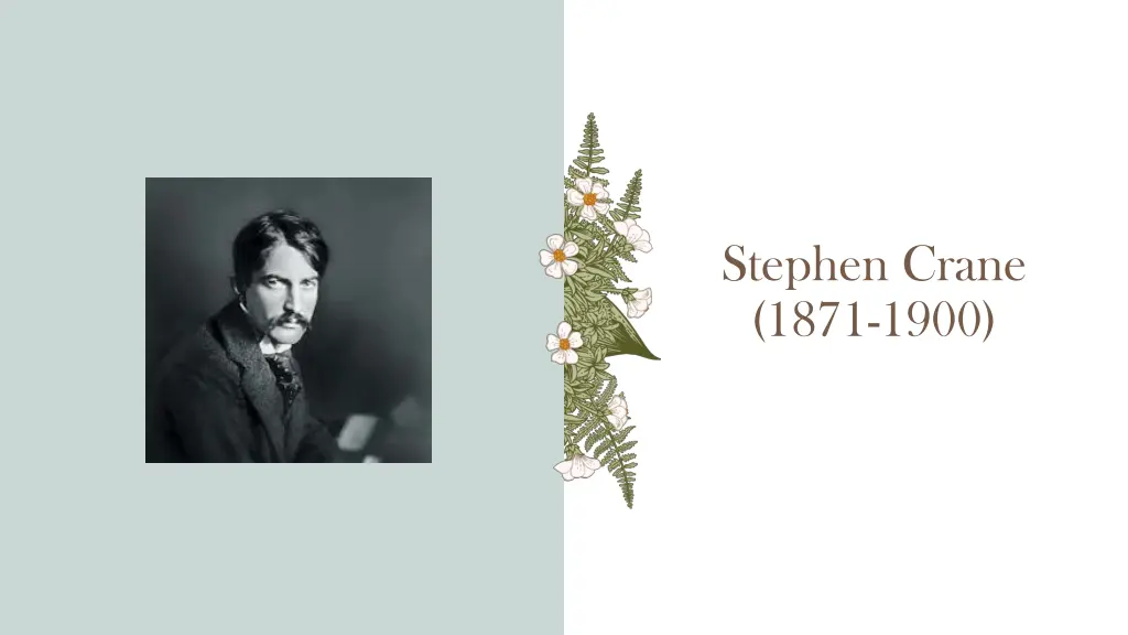 stephen crane 1871 1900