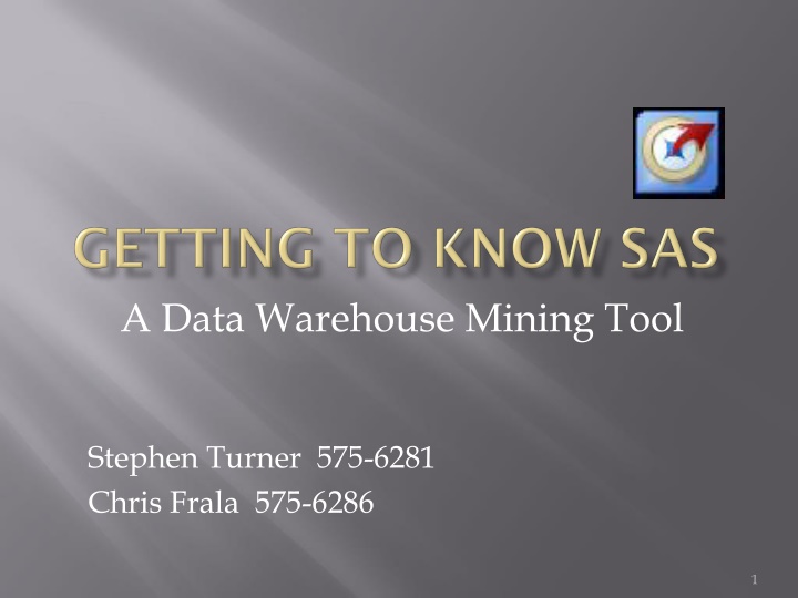 a data warehouse mining tool