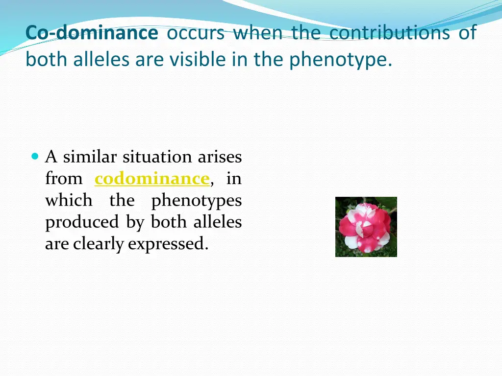 co dominance occurs when the contributions
