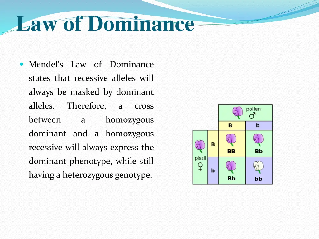 law of dominance