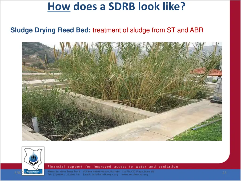 how does a sdrb look like