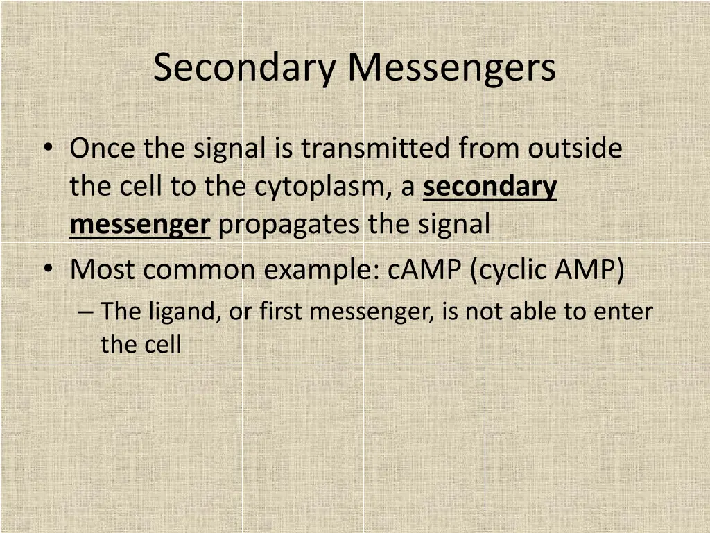 secondary messengers
