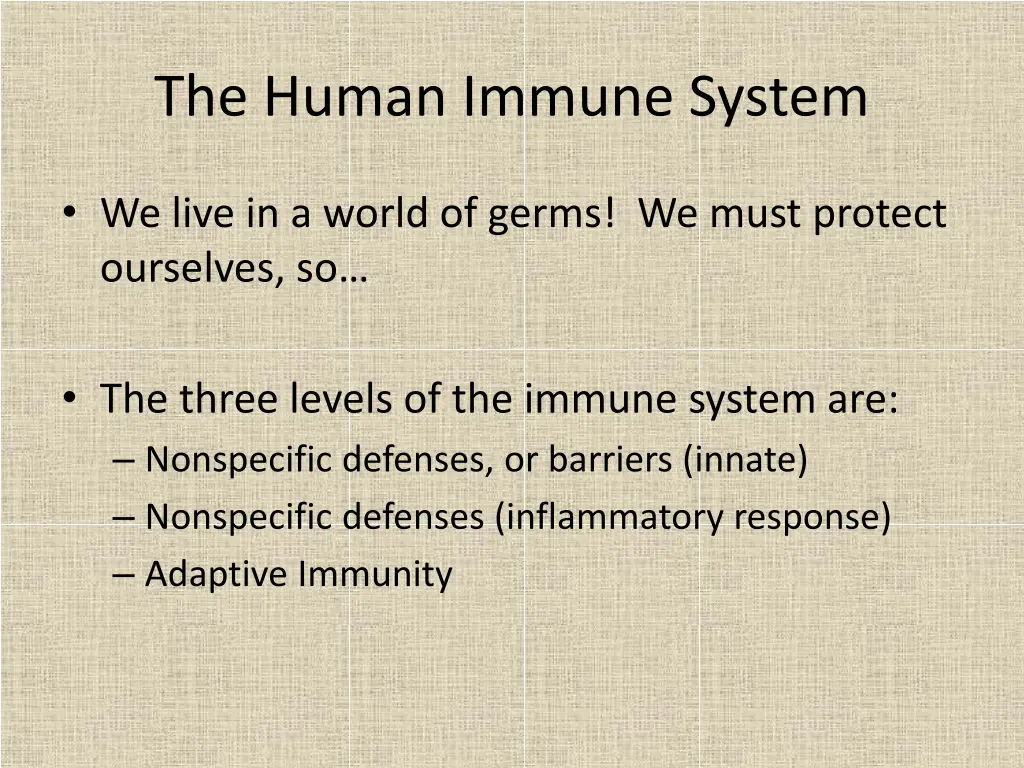 the human immune system