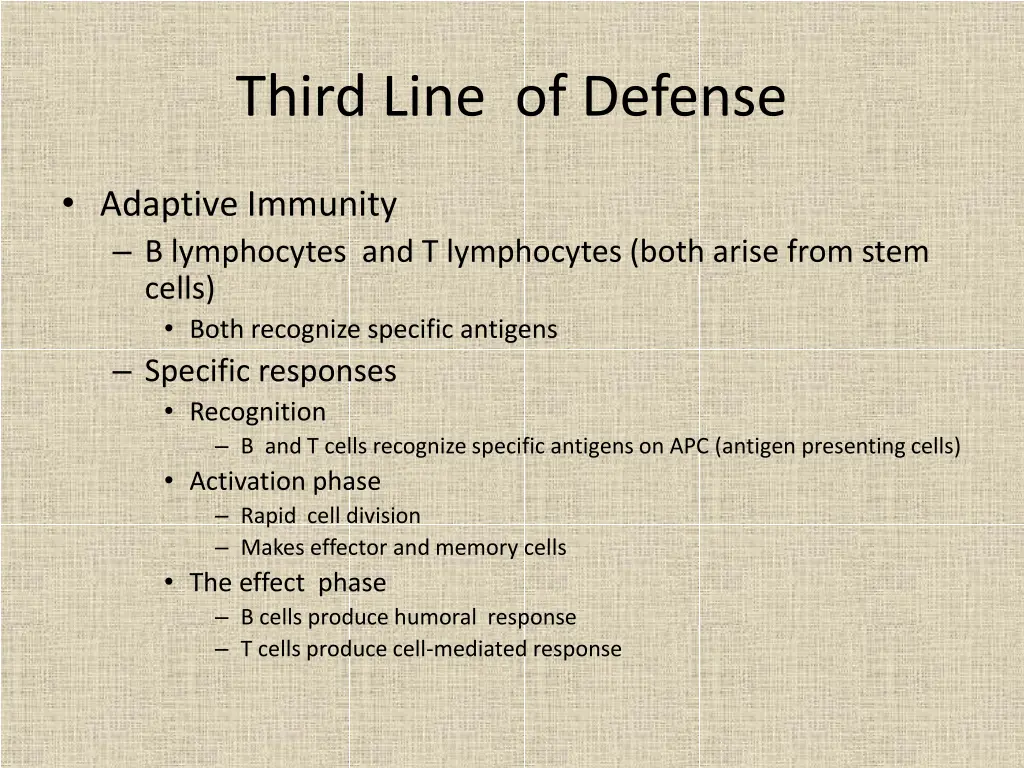 third line of defense