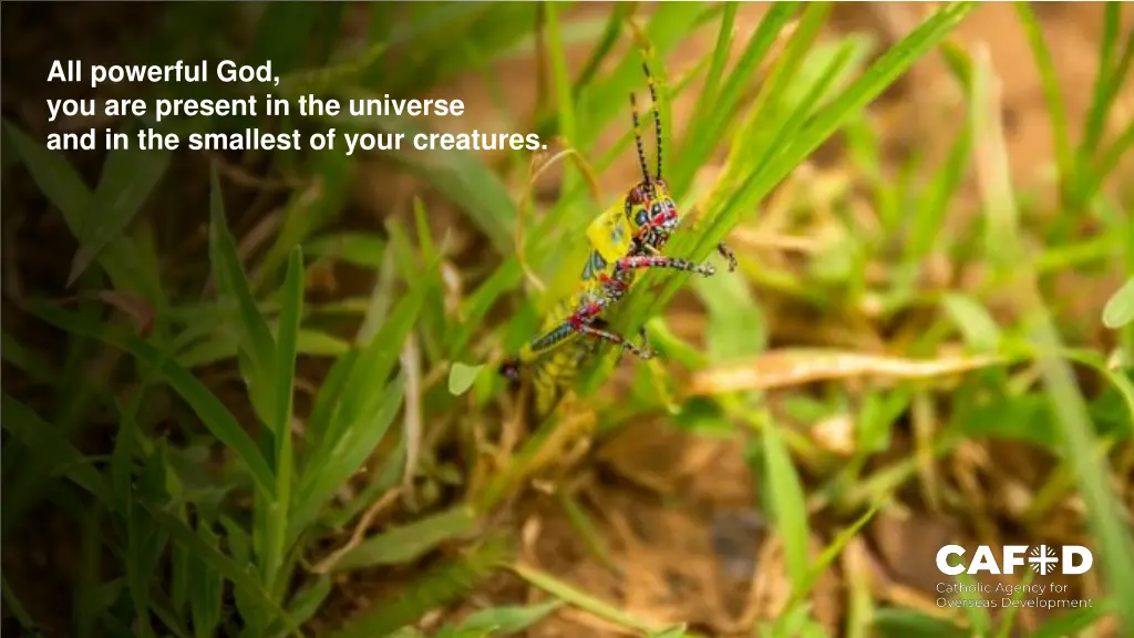 all powerful god you are present in the universe