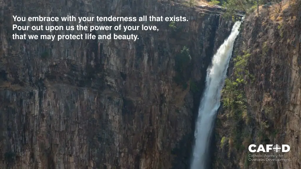 you embrace with your tenderness all that exists