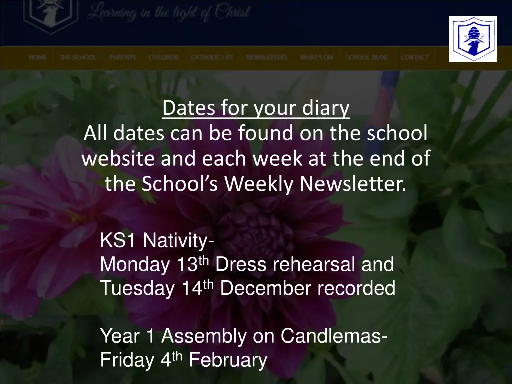 dates for your diary all dates can be found