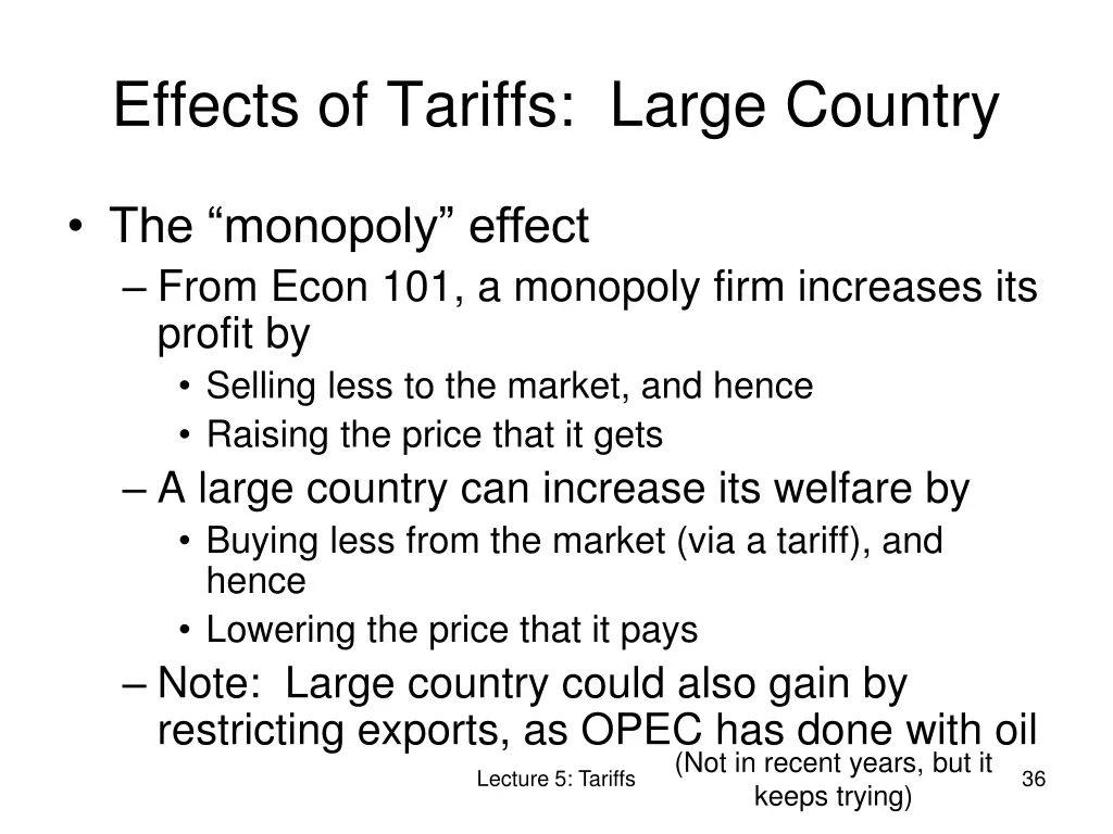 effects of tariffs large country 5