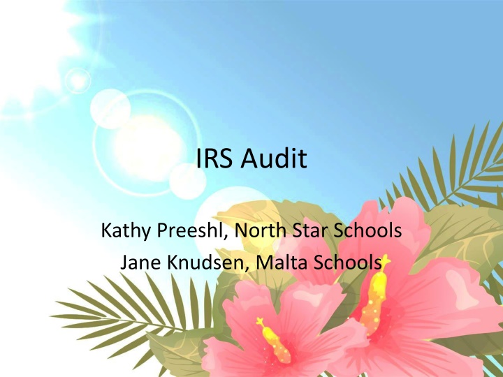 irs audit