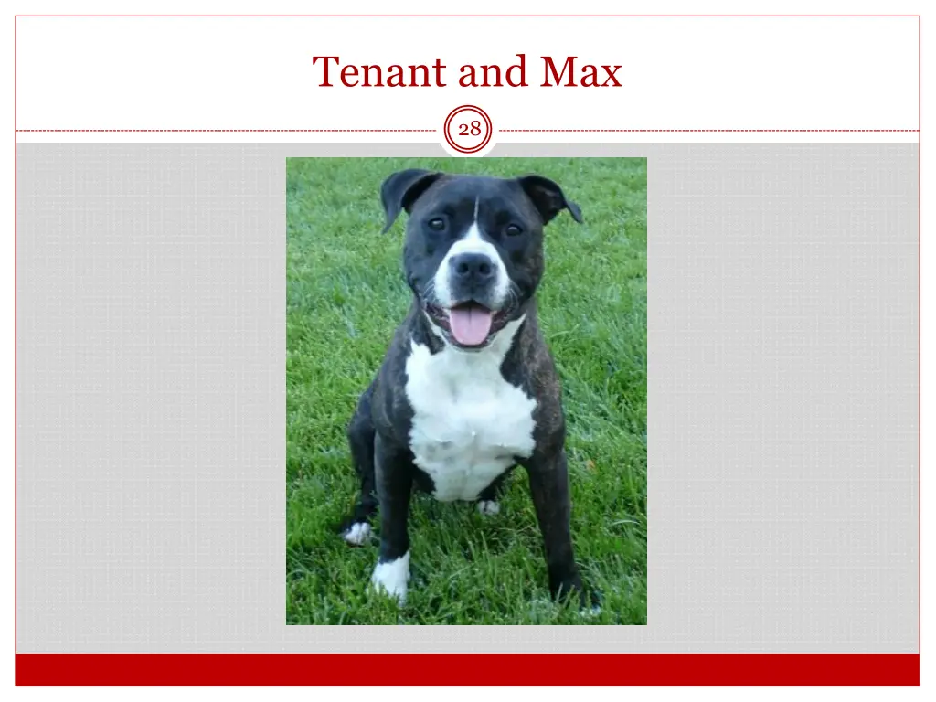 tenant and max