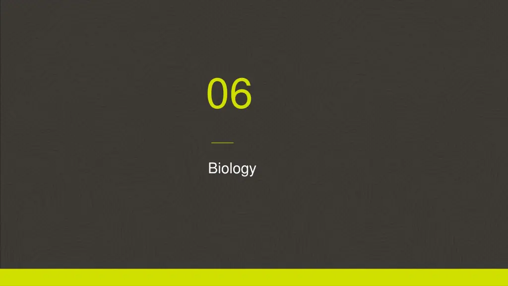slide21
