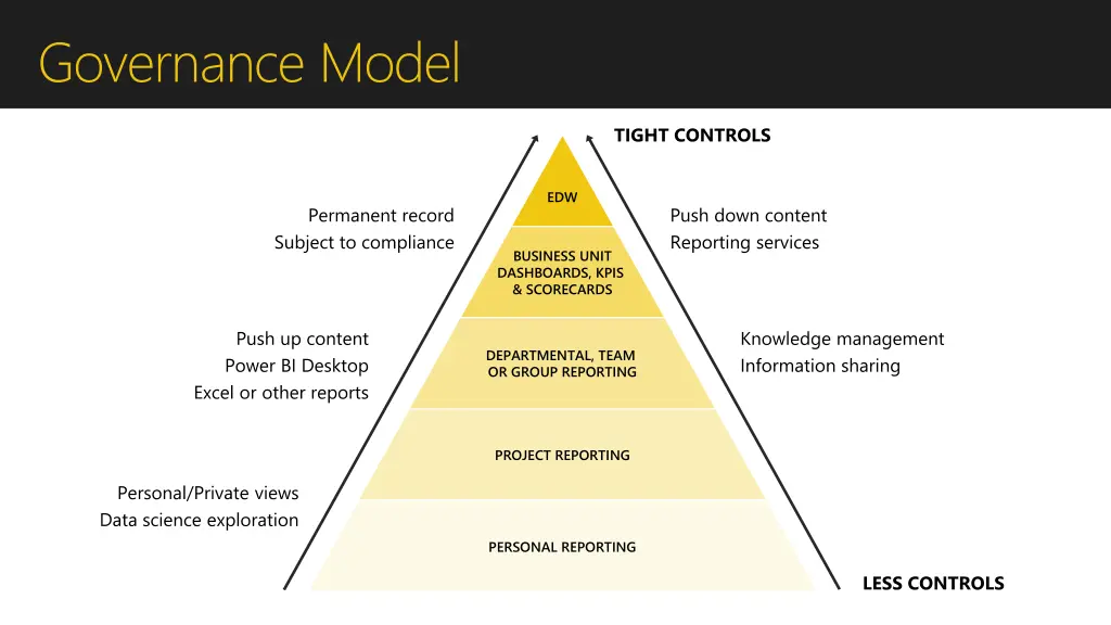 governance model