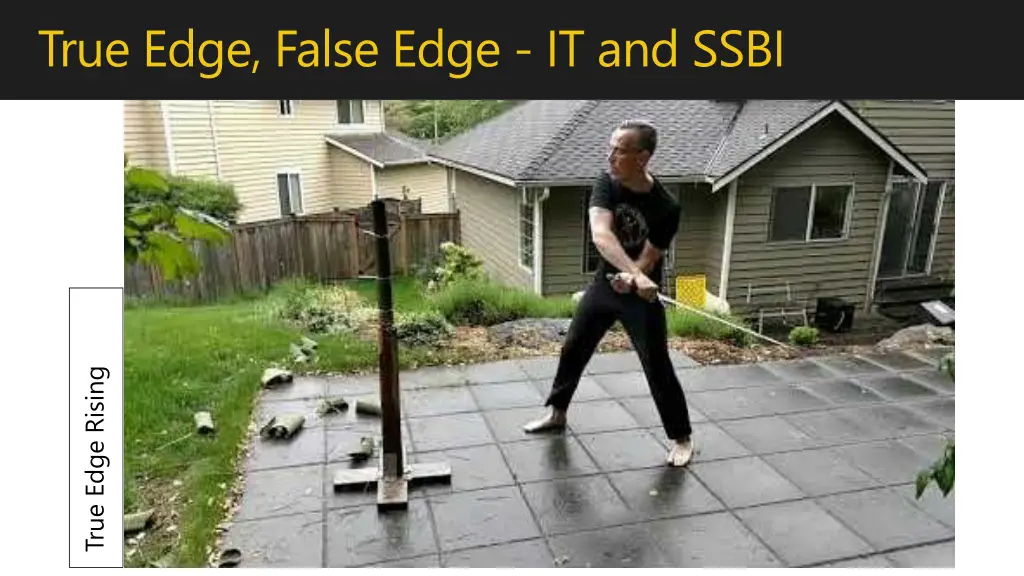 true edge false edge it and ssbi