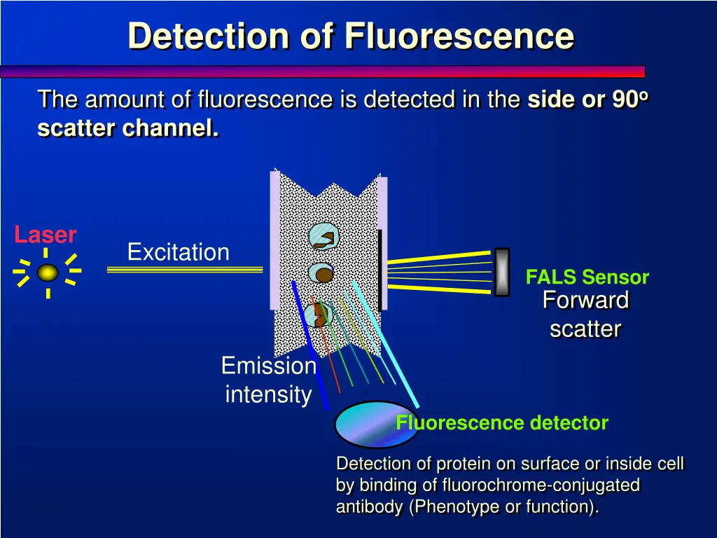 detection of fluorescence
