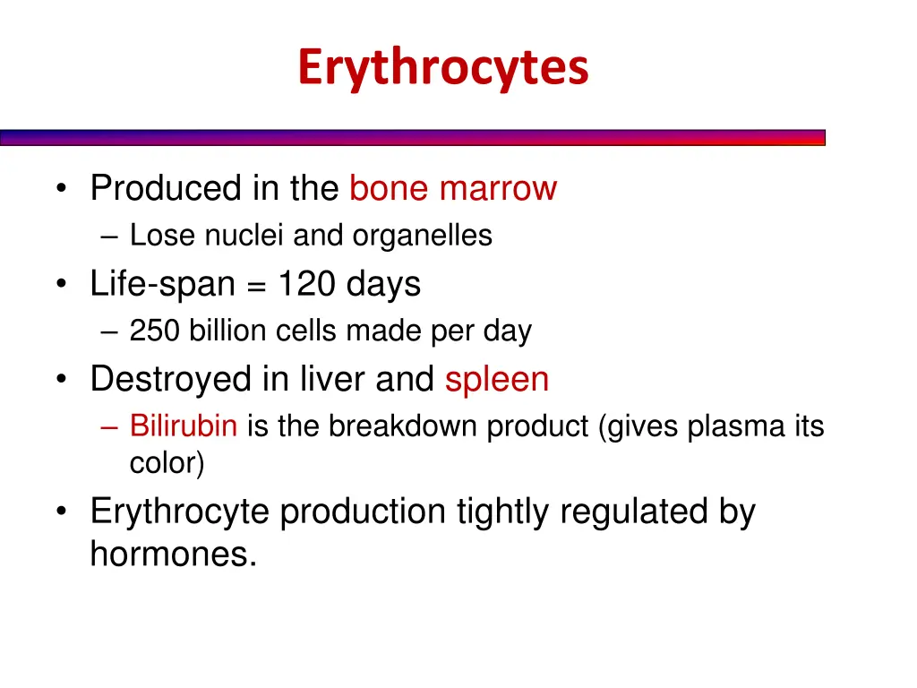 erythrocytes