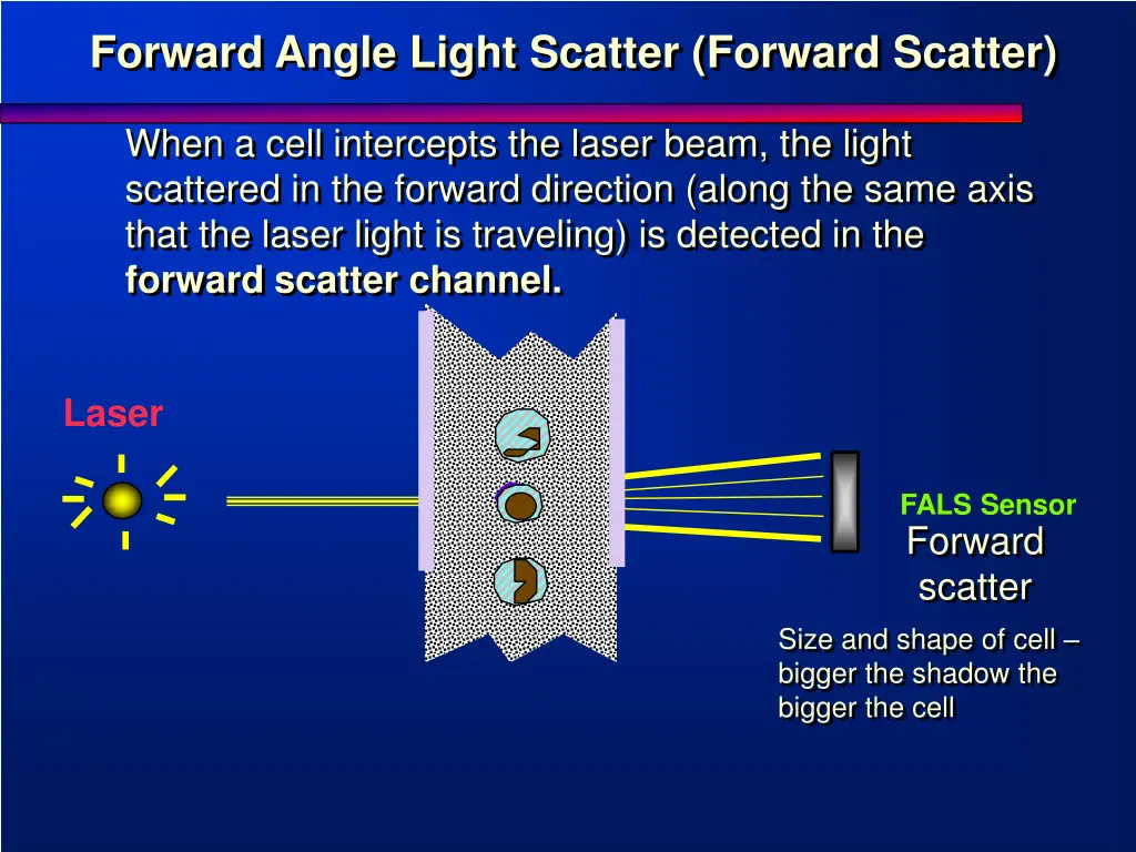 forward angle light scatter forward scatter