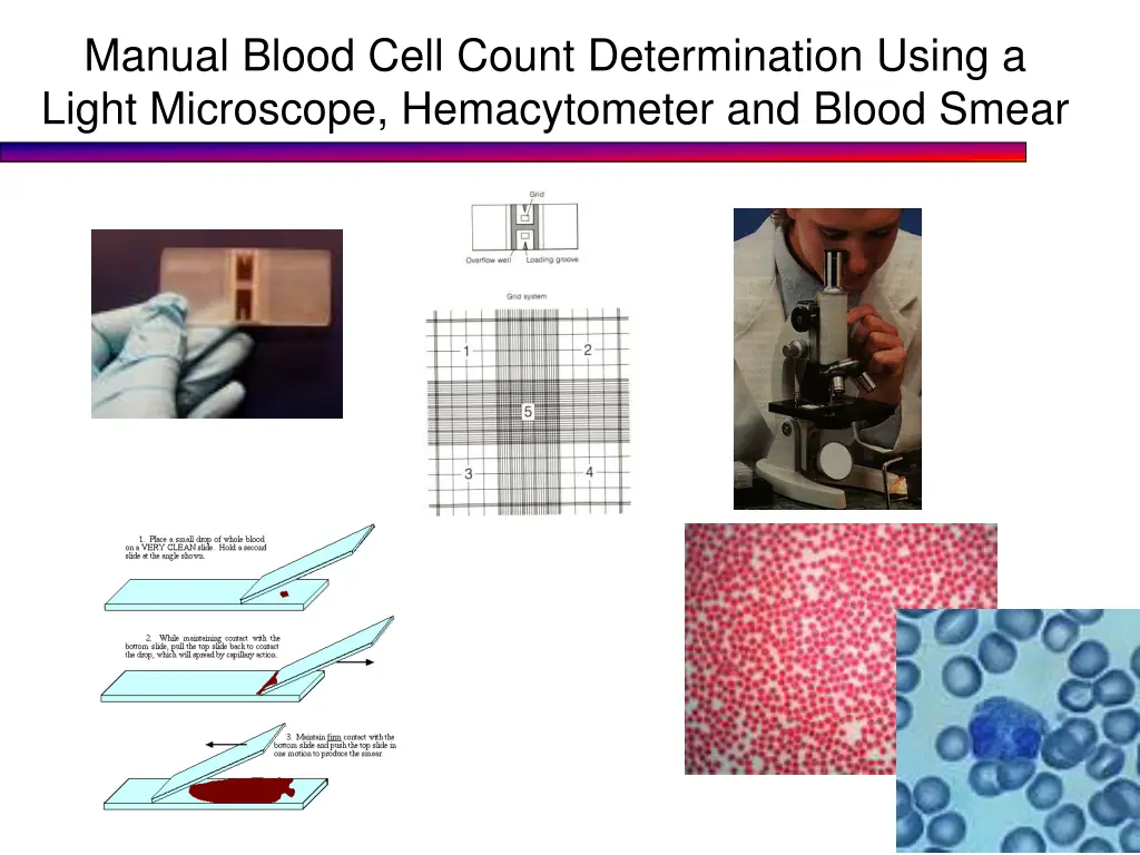 manual blood cell count determination using