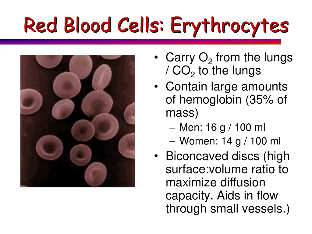 red blood cells erythrocytes