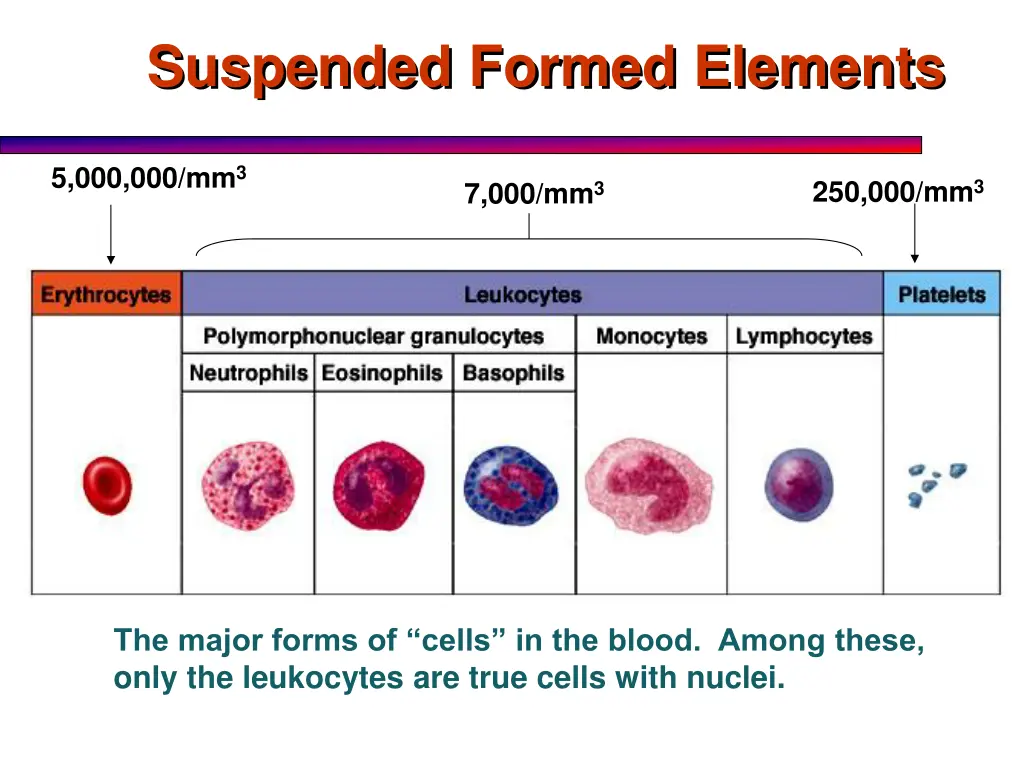 suspended formed elements