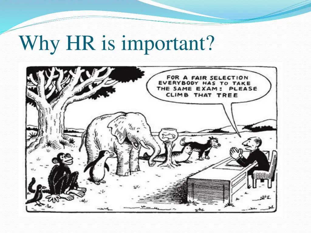 why hr is important