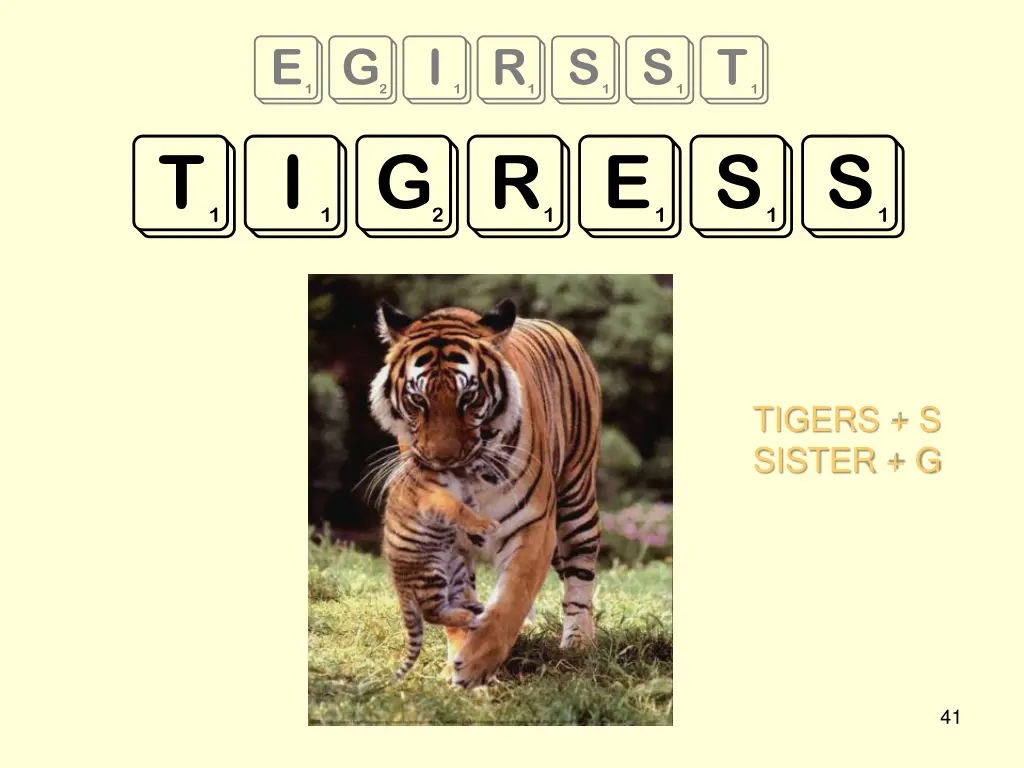 egirsst tigress