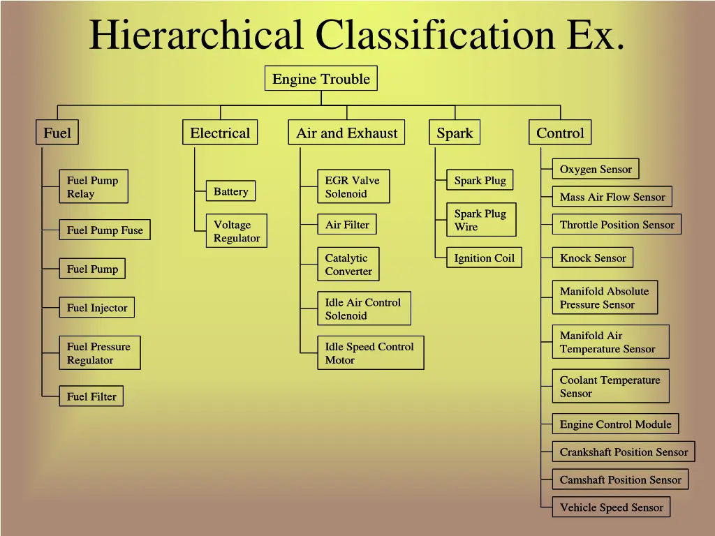 hierarchical classification ex
