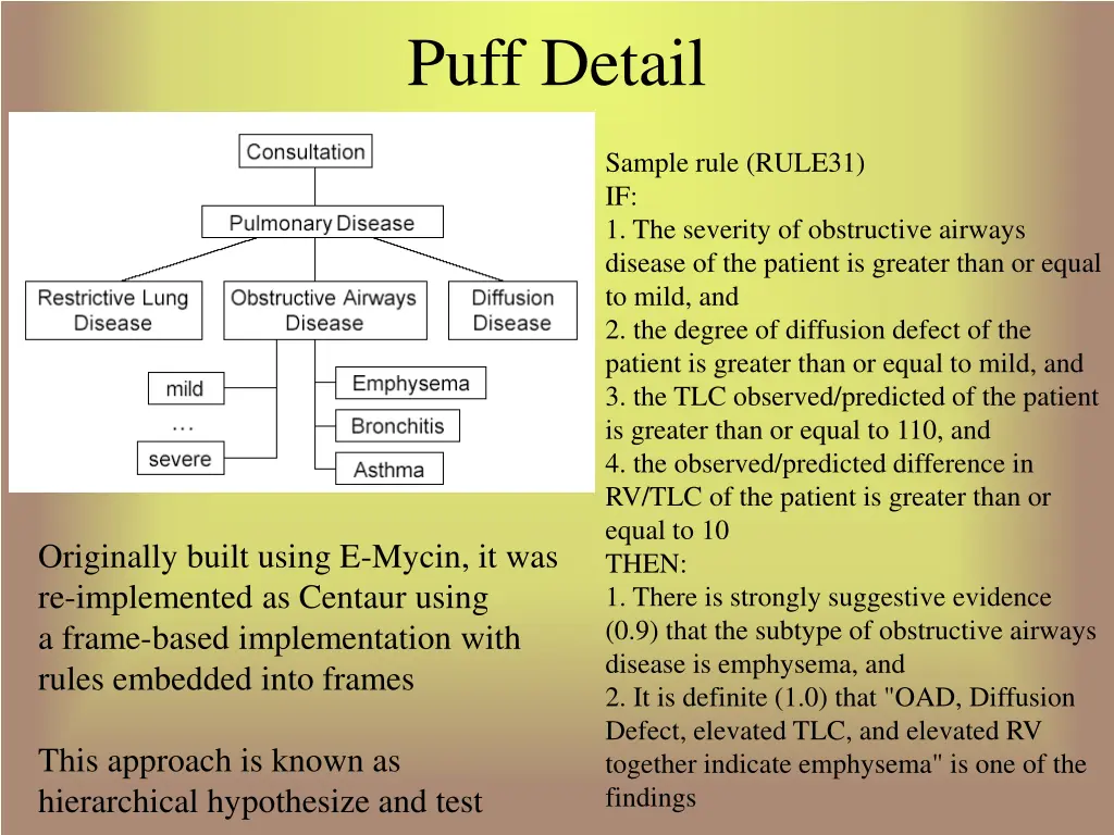 puff detail