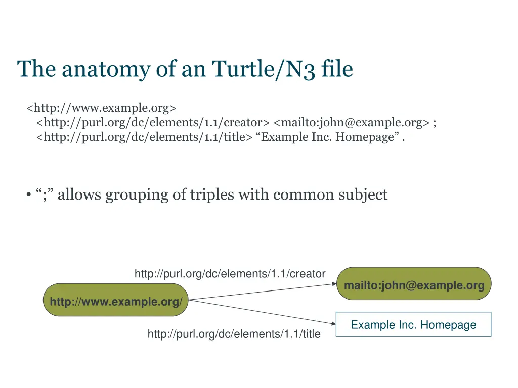 the anatomy of an turtle n3 file