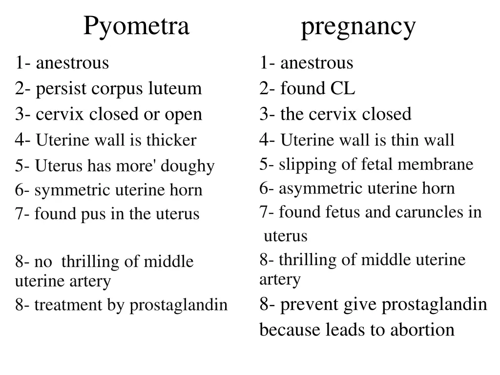 pyometra 1