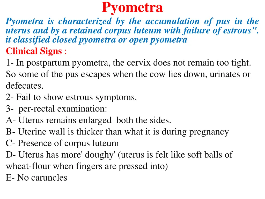 pyometra