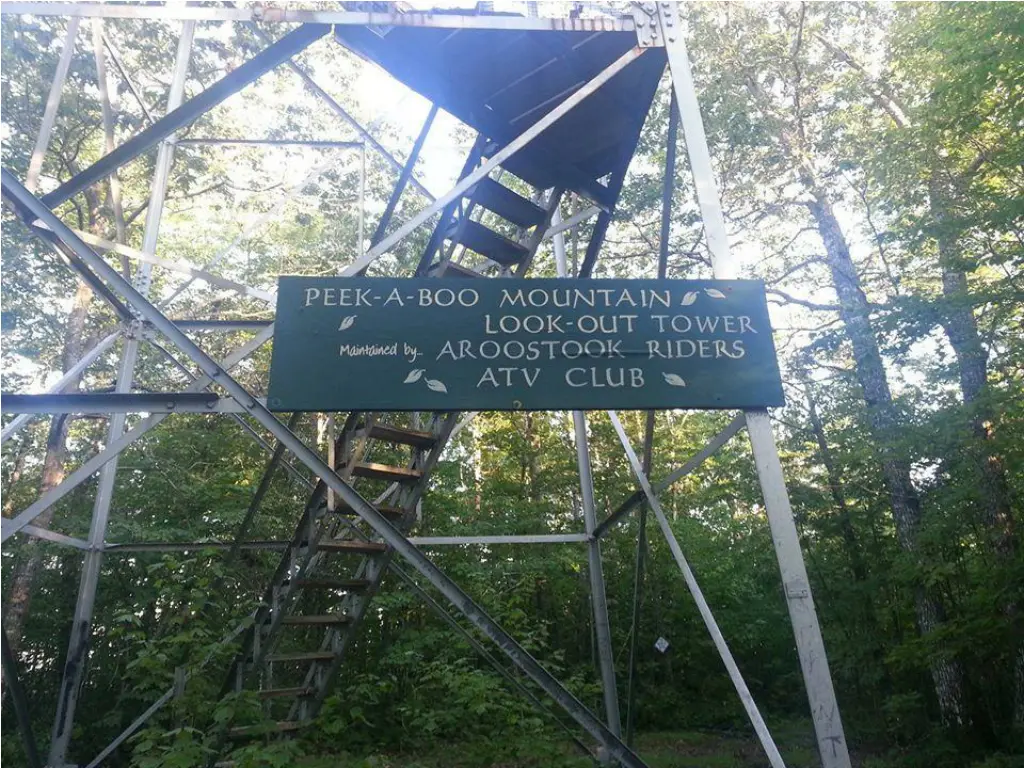 slide6