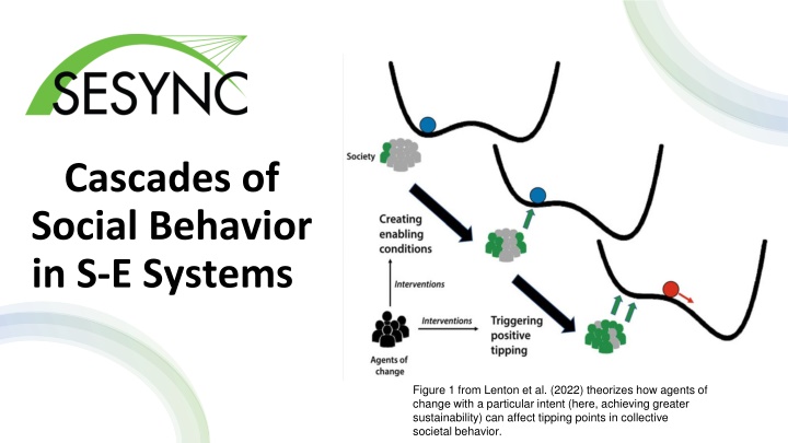 cascades of social behavior in s e systems