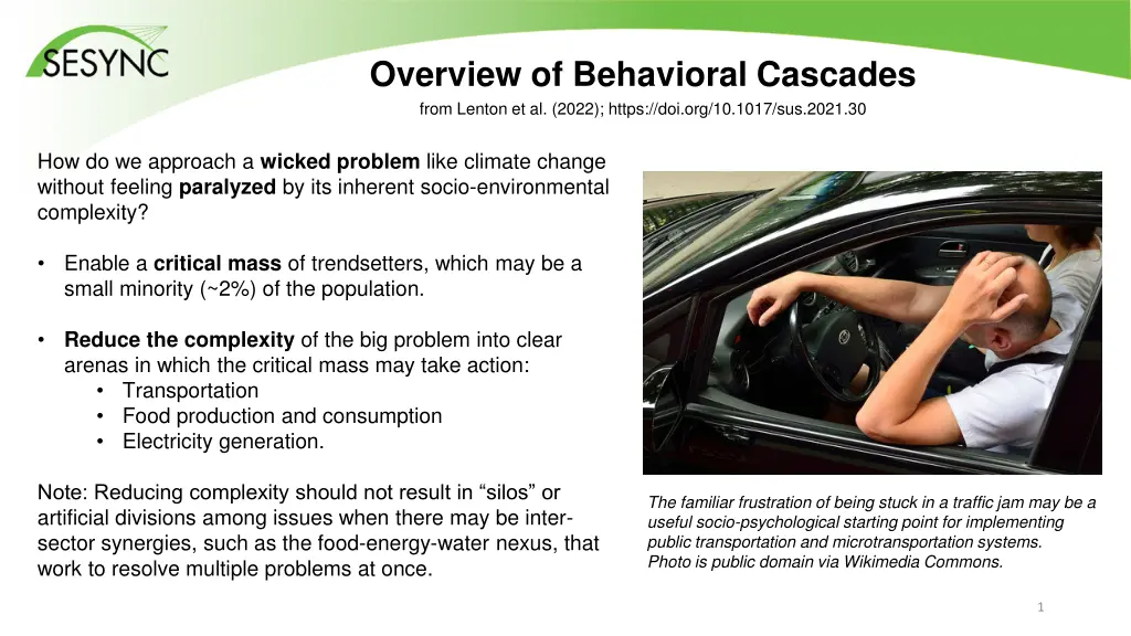 overview of behavioral cascades from lenton