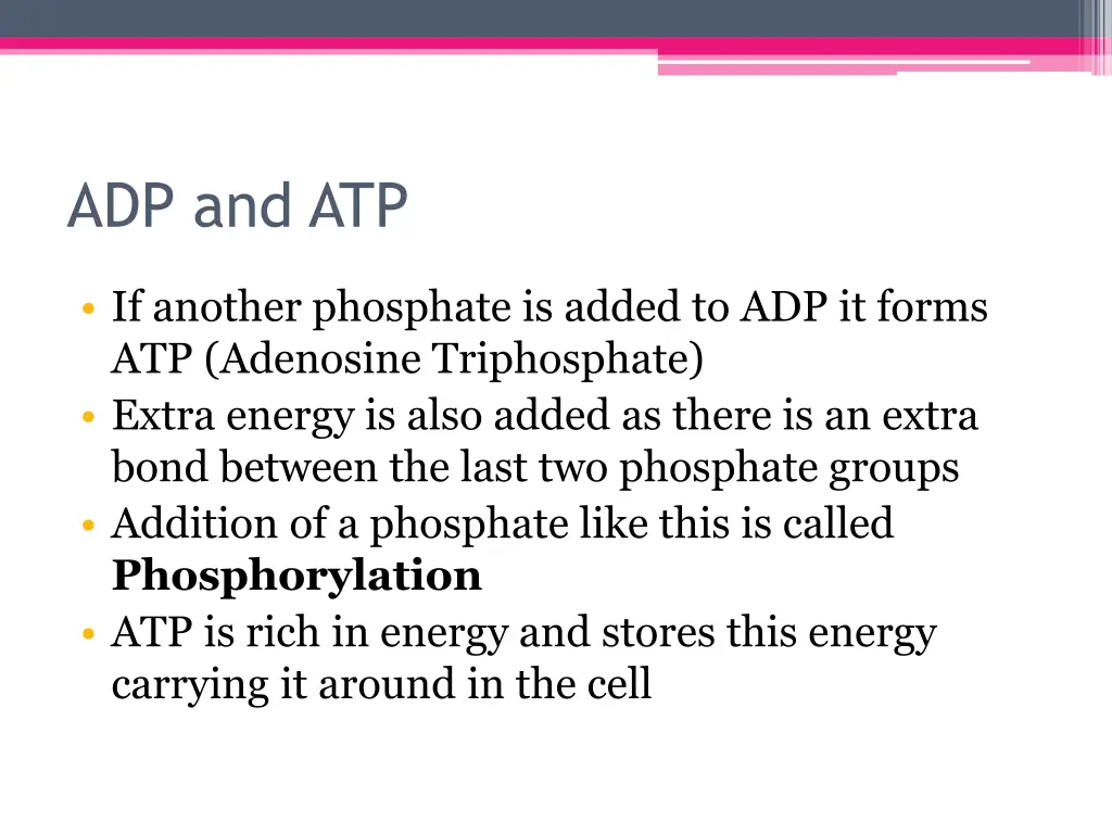 adp and atp 1