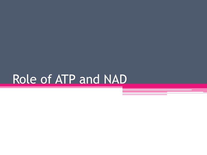 role of atp and nad